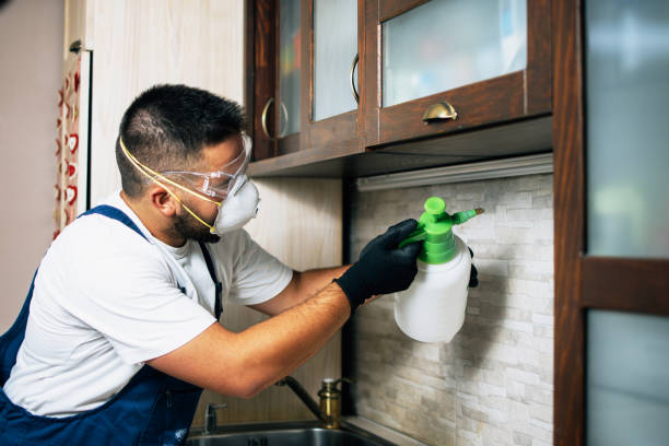 Best Mosquito Control Services  in Georgetown, SC