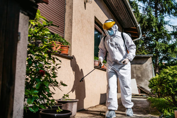 Best Pest Removal Services  in Georgetown, SC