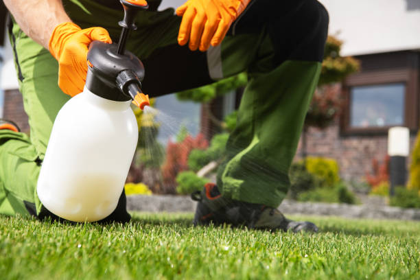 Best Commercial Pest Control Services  in Georgetown, SC