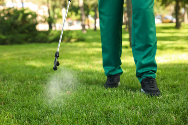 Best Insect Control  in Georgetown, SC