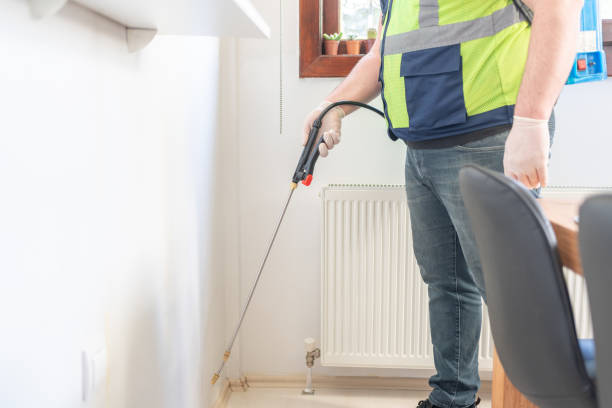 Best Affordable Pest Control Services  in Georgetown, SC