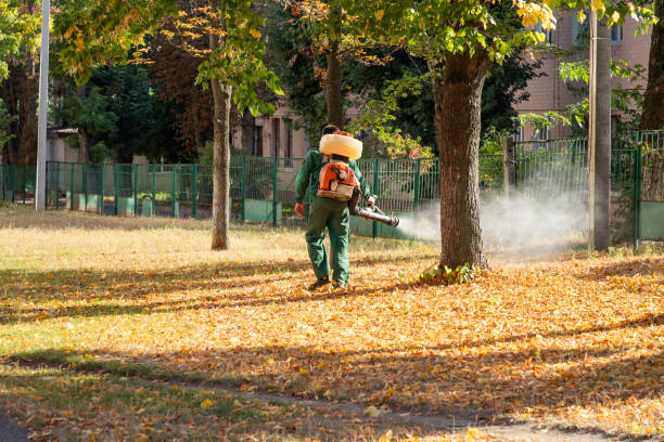 Best Wildlife Control Services  in Georgetown, SC