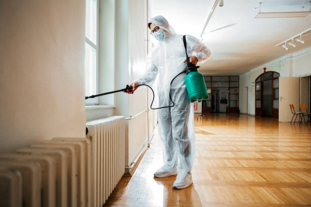 Best Mosquito Control Services  in Georgetown, SC