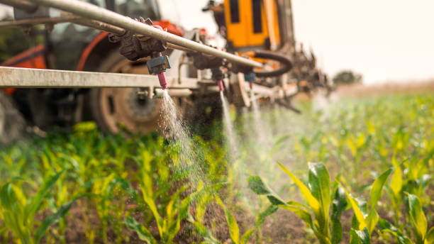 Best Commercial Pest Control Services  in Georgetown, SC